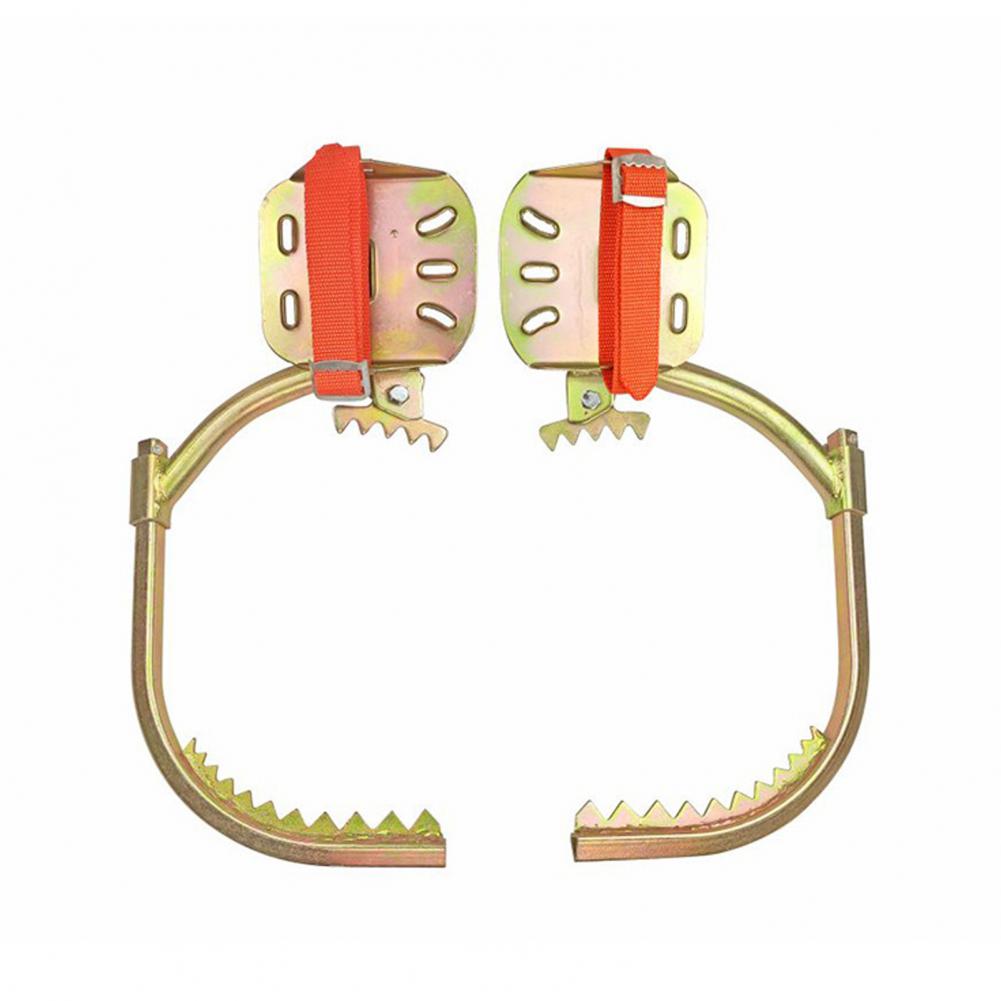 1 Set Tree Climbing Spike Adju - Shoe Tree 评论和价格